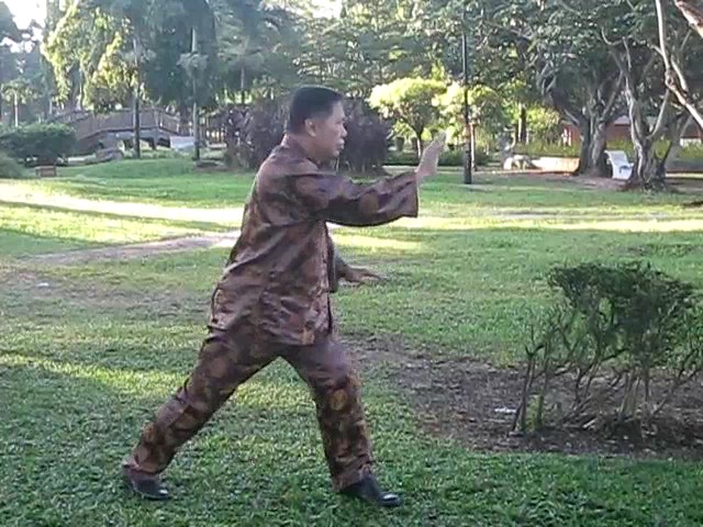 Wu Chuan You Style Taijiquan